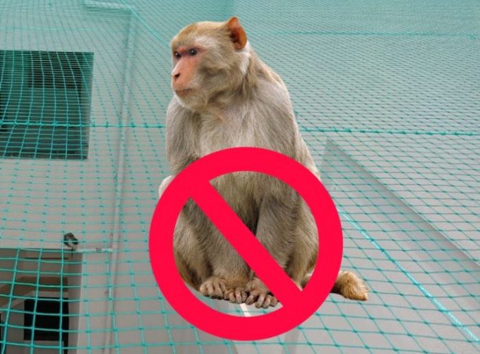 xr:d:DAFZUcgPL_M:7,j:46213433701,t:23020109